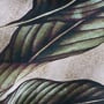 Βαμβακερό Ύφασμα Φ280cm Alocasia Μπεζ - 