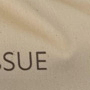 Θήκη για Χαρτομάντηλα με Εκτύπωση Bath Tissue Dutch 34x20cm - 