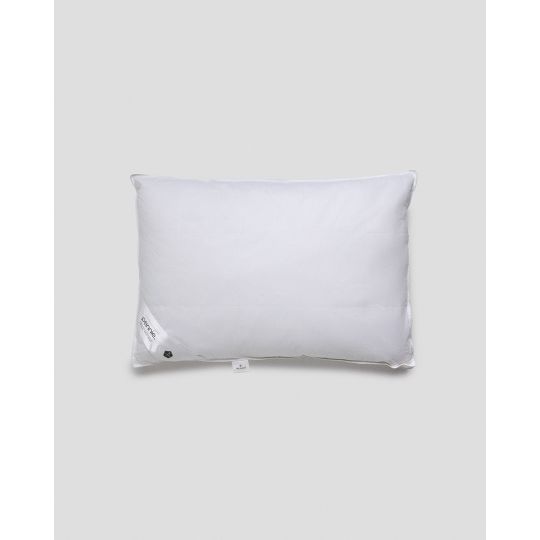 Μέτριο Πουπουλένιο Μαξιλάρι Abisko 50x70cm 50x70cm Άσπρο