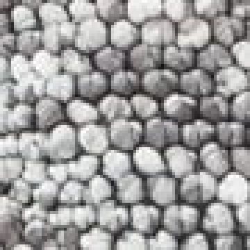 60x90cm - Γκρι [MODEL PNN-007922.700015] [EAN 0416831312345]