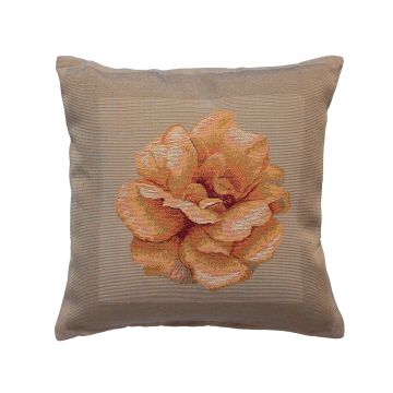 ΜΑΞΙΛΑΡΟΘΗΚΗ (45cm x 45cm) λαδί2