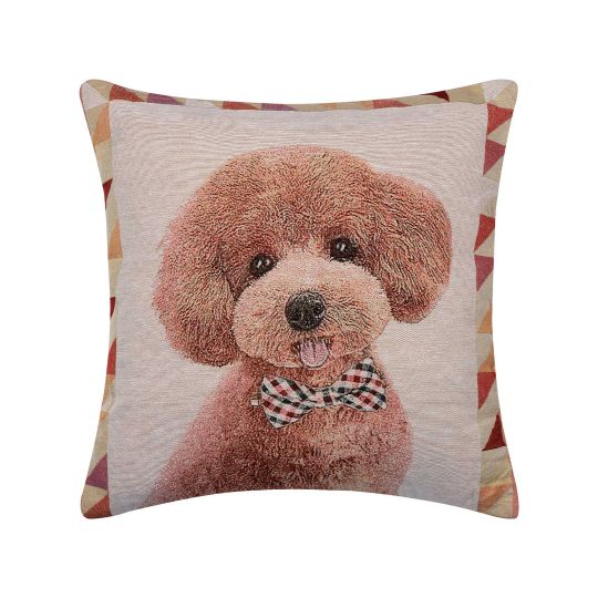 ΜΑΞΙΛΑΡΟΘΗΚΗ (45cm x 45cm) βέλγικο 5