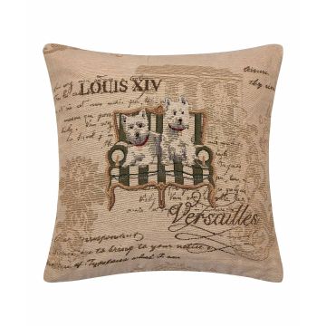 ΜΑΞΙΛΑΡΟΘΗΚΗ (45cm x 45cm) βέλγικο 9