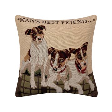 ΜΑΞΙΛΑΡΟΘΗΚΗ (45cm x 45cm) βέλγικο 11