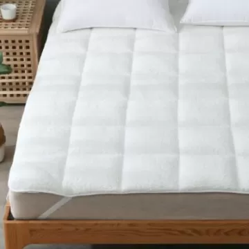 Ανωστρώματα