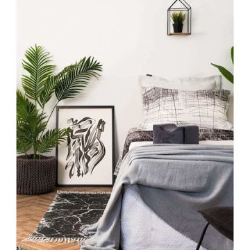 Σετ Σεντόνια