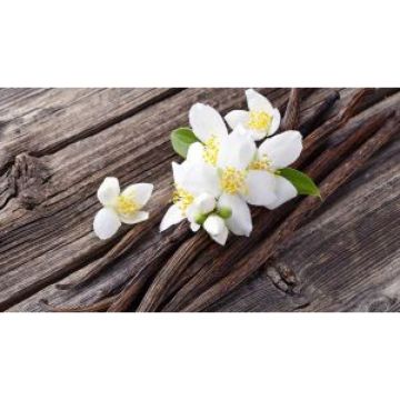 HIREMO WAX MELT VANILLA FABULOUS της Eolia Cosmetics - 